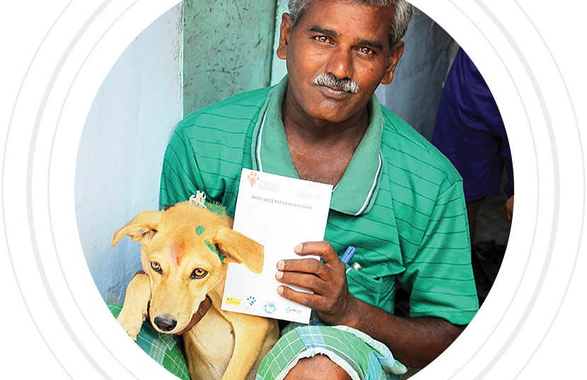 Veterinarian with dog