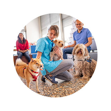 Veterinarian in waiting room with pet owners and dogs